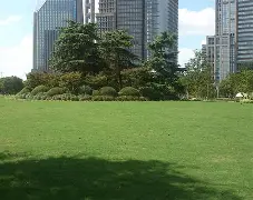 包含宁波海港客场逼平上海绿地申花，保级压力依旧存在的词条